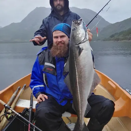 Gullesfjord Camping * Gullesfjord